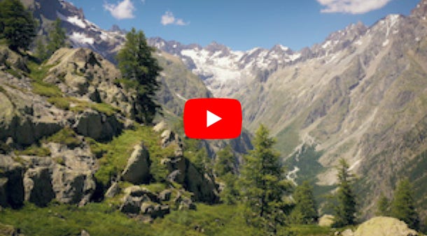 Lire la vidéo